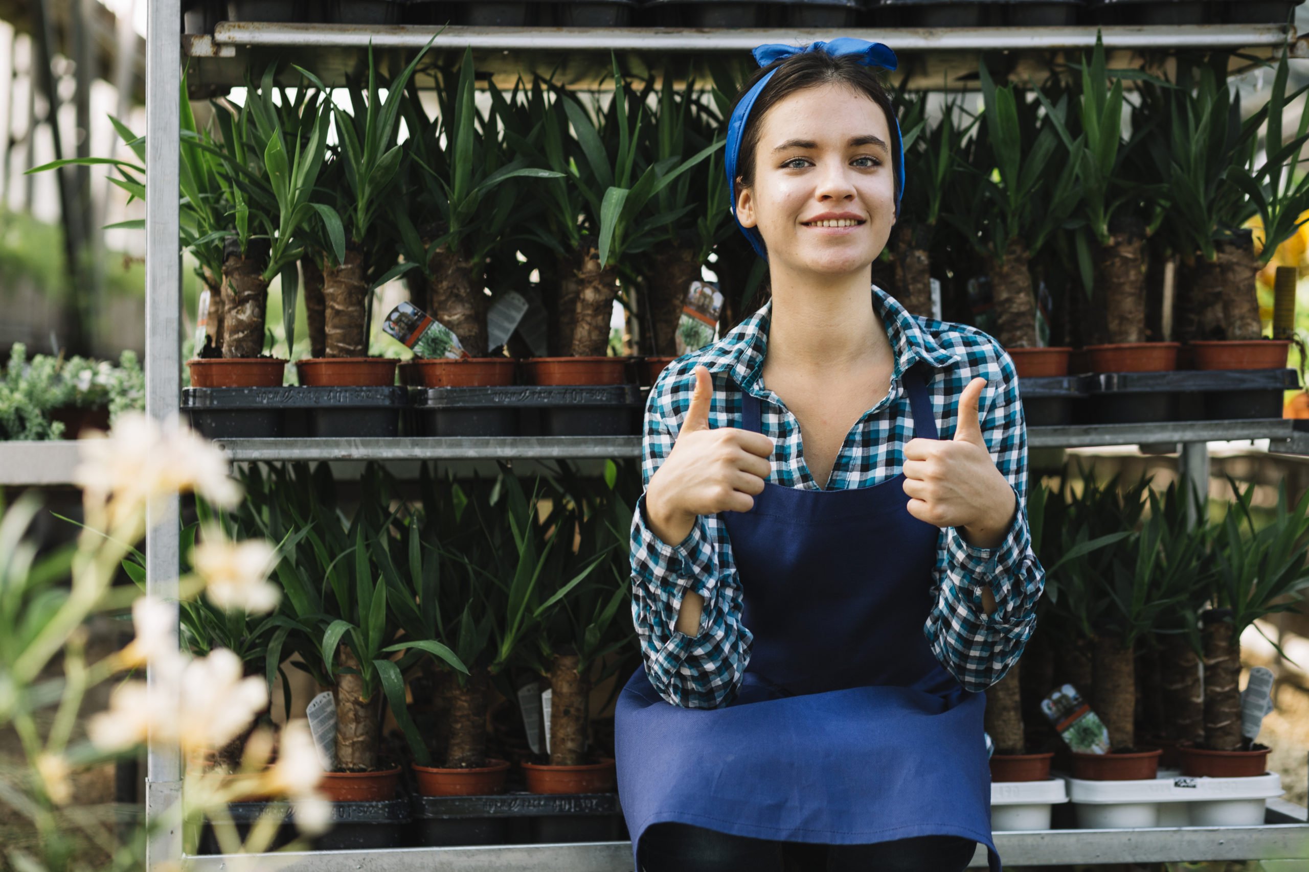 Veja como ficou a Tabela Simples Nacional 2024 e como isso mudou a vida de pequenos e micro empreendedores.